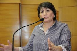 Maria Mendona apela ao Governo por segurana  